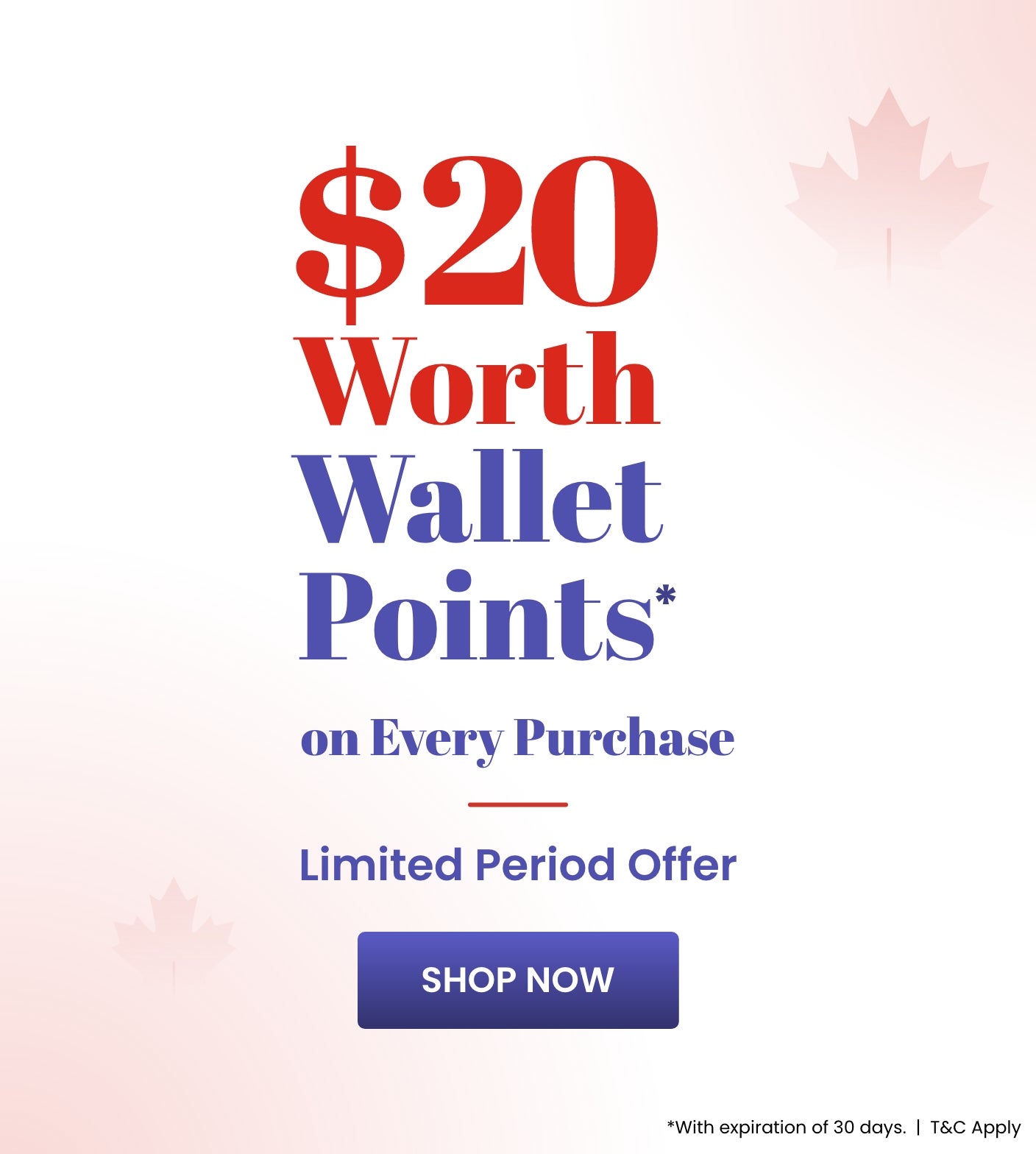 Wallet Offer_C1_SB_1006-1706_CA