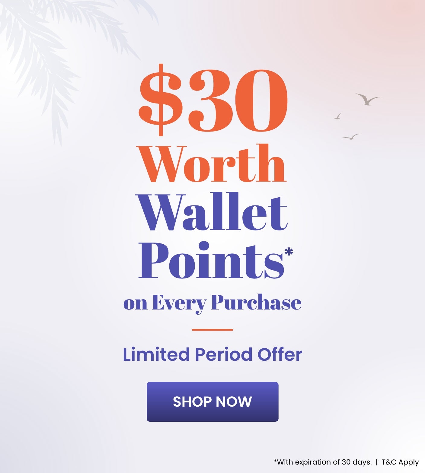 Wallet_Offer_C3_SB_1304-1504_CA