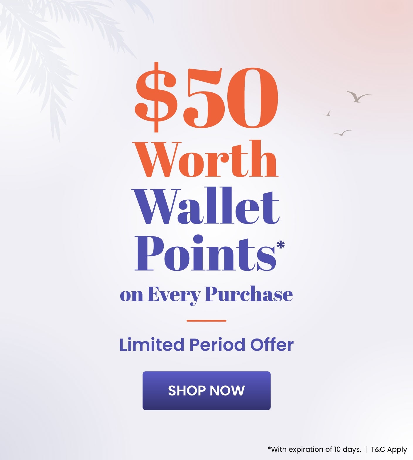 Wallet_Offer_C3_SB_2704-3004_CA