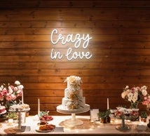 Crazy In Love Neon Sign