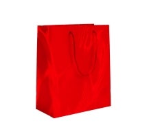 Solid Color Boutique Bags 