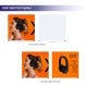 20 Ft Backlit Trade Show Display - Design 6