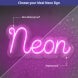 Birthday Party Neon Sign