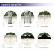 Blank Canopy Tents
