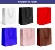 Foil Printed Paper Bags