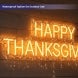 Thanksgiving Neon Sign