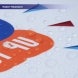 Printed Frosted Decals