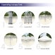 White Canopy Tents