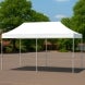 White Canopy Tents